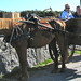 Michele Conner Photo 8