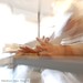 Judith Murphy Photo 17