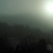 Misty Scruggs Photo 1
