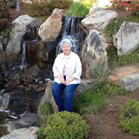 Ann Dodd Photo 7