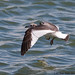 Michael Grube Photo 31