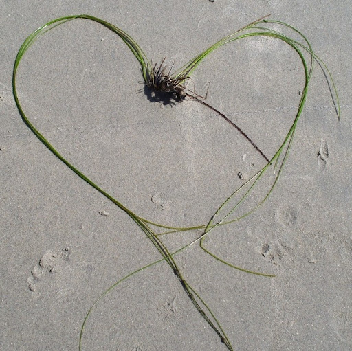 Linda Horner Photo 23