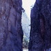 David Zuckerman Photo 23