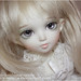 Misty Little Photo 17