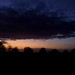 Jan Wold Photo 22