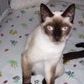Nancy Burks Photo 32