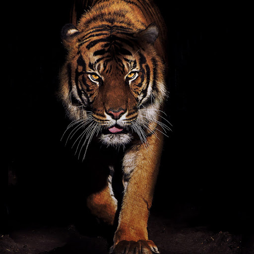 Philip Stott Photo 13