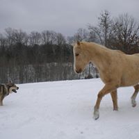 Laura Hindman Photo 13