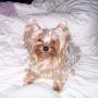 Debbie Fleming Photo 18
