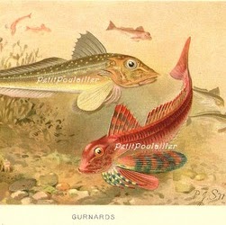 Polly Robbins Photo 6