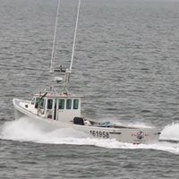 Kent Clements Photo 15