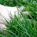 Kristi Green Photo 6