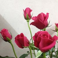 Ruby Vu Photo 16