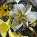 Gregory Holbrook Photo 16