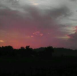 Tracy Reardon Photo 17