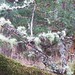 Garry Moss Photo 24
