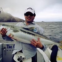 Long Ho Photo 26
