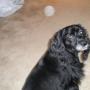 Cheri Baldwin Photo 15