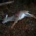 Jason Pointer Photo 18