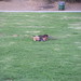 Heather Beasley Photo 16