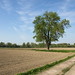 April Baum Photo 17