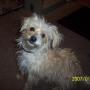 Dora Sandoval Photo 16
