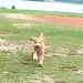 Brodie Chase Photo 10