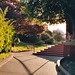 John Swett Photo 8