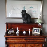 Theresa Beale Photo 17