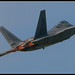 Craig Metz Photo 15