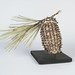 Donna Cones Photo 9