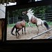 Rebecca Layman Photo 24