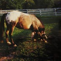 Shelly Stanley Photo 36