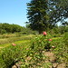 Stephanie Orcutt Photo 12