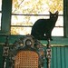 Bobbie Gray Photo 16