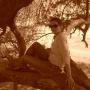 Rebecca Eggleston Photo 17