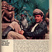 Stephen Collins Photo 21
