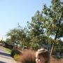 Kelly Bloom Photo 27