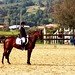 Sheila Forman Photo 13