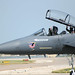 Douglas Whiteman Photo 10