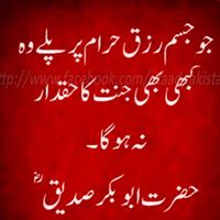 Mohamed Ullah Photo 6