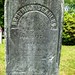 Stephen Searle Photo 30