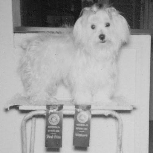 Brian Merritt Photo 42