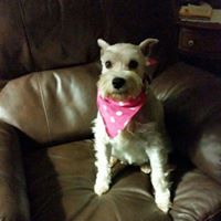 Debra Curtis Photo 24