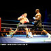 Steve Box Photo 24