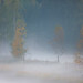 Mark Anders Photo 33