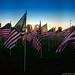 Shaun Weber Photo 8