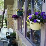 Dorothy Plummer Photo 8