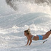 Jennifer Harder Photo 16