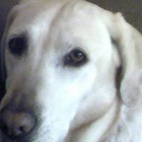 Christopher Blankenship Photo 17